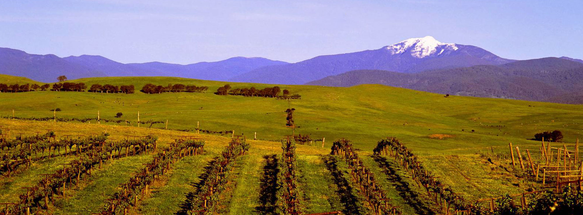 enjoy a day at the snow with high country tours